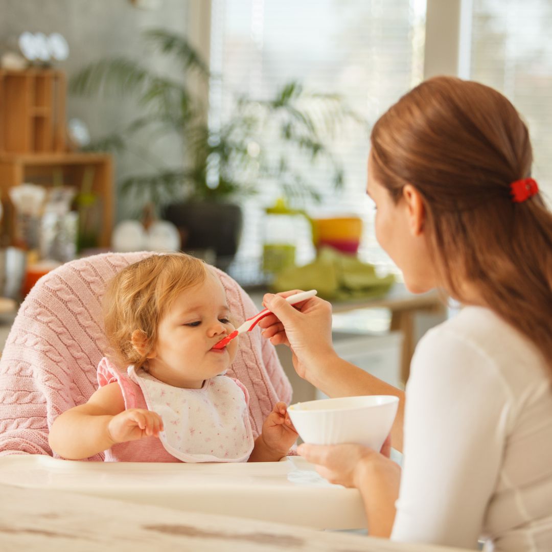 collection-repas-estherbebe